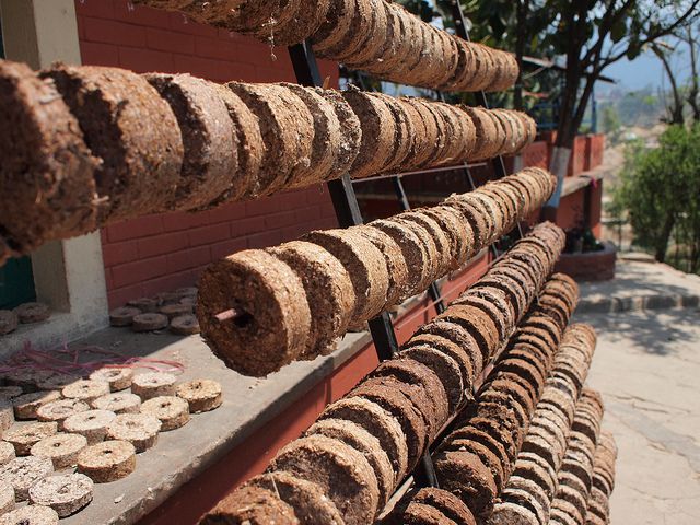 Cow Dung Logs