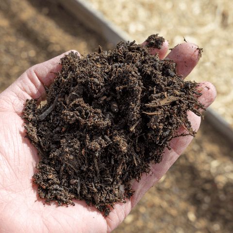 Organic Manure