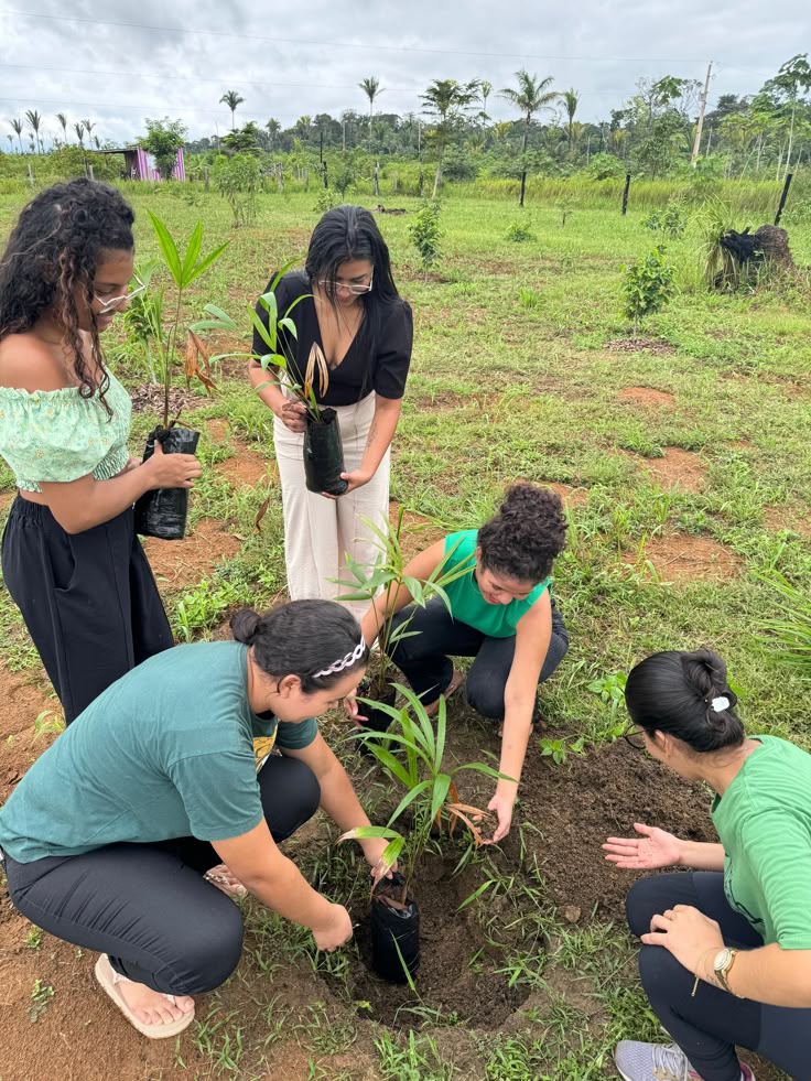 Community Plantation Drive